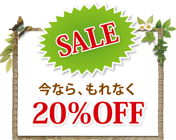 今なら、もれなく20%OFF 今なら、もれなく20%OFF
