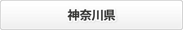 神奈川県 神奈川県